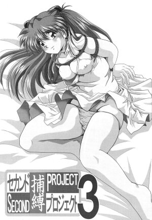[Thirty Saver Street 2D Shooting (Maki Hideto, Sawara Kazumitsu)] Second Hobaku Project 3 (Neon Genesis Evangelion) - Page 3