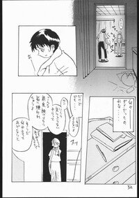 [V . Heracles (Shimada Kazuma)] 01 DIGITAL (Neon Genesis Evangelion) - Page 30