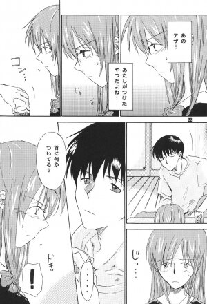 [Mikan-bako o koyonaku aisuru kai (Shisen Mirai)] W R #3 (Neon Genesis Evangelion) - Page 22