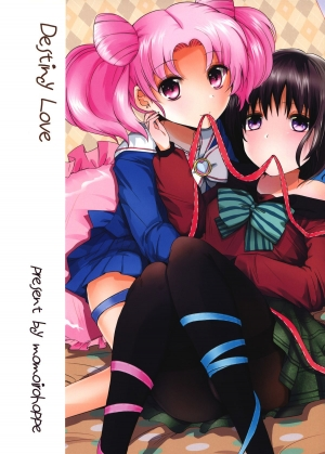 (C83) [momoirohoppe (Rei)] Destiny Love (Bishoujo Senshi Sailor Moon) [English] [Yuri-ism & Life4Kaoru] - Page 3