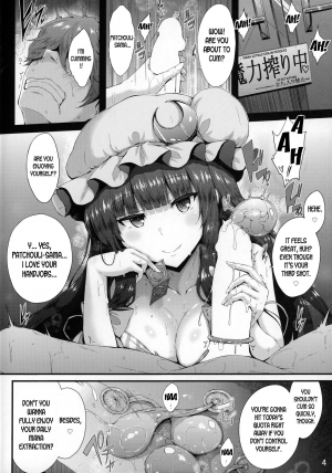 (C96) [YuKi-IRo (Yukiusagi.)] Maryoku Shibori (Touhou Project) [English] [desudesu] - Page 4