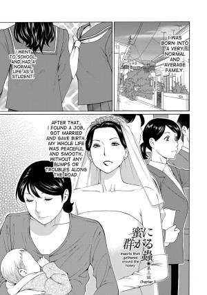 [Takasugi Kou] Mitsu ni Muragaru Mushi | Insects That Gathered Around the Honey Ch. 1-7 [English] [desudesu] [Digital] - Page 52