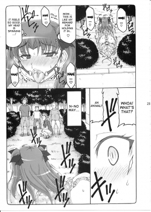 (C87) [Abarenbow Tengu (Izumi Yuujiro)] Kotori 11 (Fate/stay night) [English] [desudesu] - Page 23
