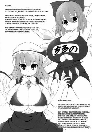 (C90) [Shiroi Famicon (Facominn)] Sakuen no Miko (Touhou Project) [English] [desudesu] - Page 20