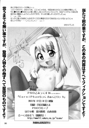 (C85) [PNO Group (Hase Yuu, Hikawa Yuuki, Yamamoto Ryuusuke)] Carni☆Phan tic factory 5 (Fate/zero) [English] {Tigoris Translates} - Page 19