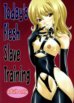 (C88) [Tairikukan Dandoudan Dan (Sakura Romako)] Honjitsu no Nikudorei Choukyou | Today's Flesh Slave Training [English] [cdragon] - Page 2