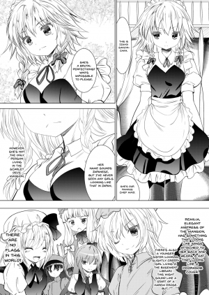 [Kaitsushin (Namamo Nanase)] Chi to Maid to Garter Belt (Touhou Project) [English] [Doujins.com] [Digital] - Page 5