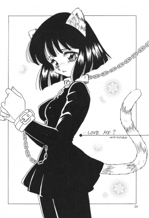 (CR27) [Thirty Saver Street 2D Shooting (Maki Hideto, Sawara Kazumitsu)] Silent Saturn 11 (Sailor Moon) [English] - Page 27