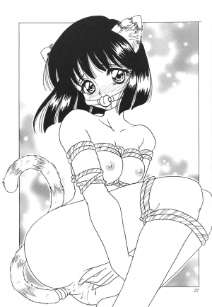 (CR27) [Thirty Saver Street 2D Shooting (Maki Hideto, Sawara Kazumitsu)] Silent Saturn 11 (Sailor Moon) [English] - Page 28