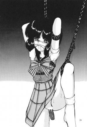 (CR27) [Thirty Saver Street 2D Shooting (Maki Hideto, Sawara Kazumitsu)] Silent Saturn 11 (Sailor Moon) [English] - Page 40