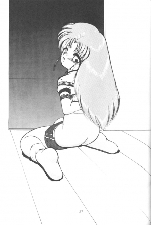 (C61) [Thirty Saver Street 2D Shooting (Maki Hideto, Sawara Kazumitsu)] Silent Saturn SS vol. 3 (Sailor Moon) [English] - Page 37