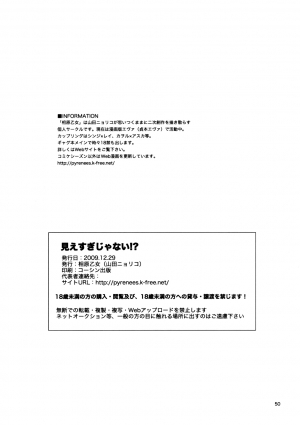 (C77) [Aihara Otome (Yamada Nyoriko)] Miesugi Janai!? | Isn't this too Revealing!? (Neon Genesis Evangelion) [English] [TyroLuuki] - Page 48