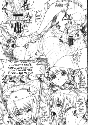 (SC36) [Escargot Club (Juubaori Mashumaro)] KUSARI Vol. 3 (Queen's Blade) [English] {doujin-moe.us} - Page 23