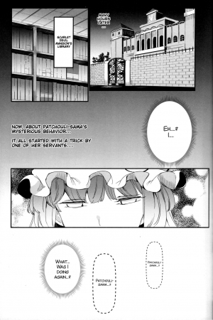 (Shuuki Reitaisai 4) [Nyuu Koubou (Nyuu)] Totsuzen Gekiiki Patchouli-sama (Touhou Project) [English] [SMDC] [Incomplete] - Page 5