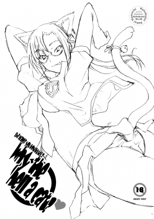 (SC45) [Kohakutei (Sakai Hamachi)] Nanda Neko ka | Why the Hell a Cat? (Rebuild of Evangelion) [English] =LWB= - Page 3