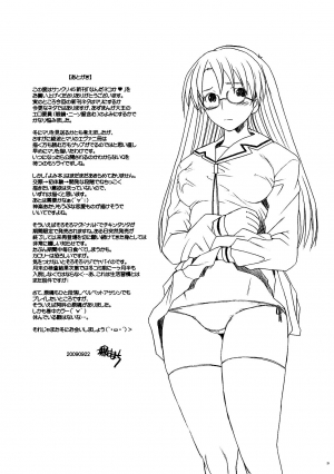 (SC45) [Kohakutei (Sakai Hamachi)] Nanda Neko ka | Why the Hell a Cat? (Rebuild of Evangelion) [English] =LWB= - Page 21