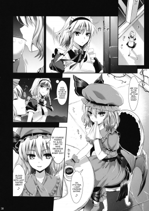 (C84) [YURIRU-RARIKA (Kojima Saya, Lazu)] R Shoku 2C -Toraware Alice- (Touhou Project) [English] [desudesu] - Page 29