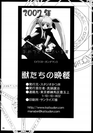 (SC34) [Studio Katsudon (Manabe Jouji)] Kemonotachi no Bansan (Mahou Shoujo Lyrical Nanoha) [English] - Page 40