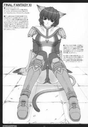 (C65) [PHANTOM CROSS (Miyagi Yasutomo)] Mithran Spotting (Final Fantasy XI) [English] - Page 23