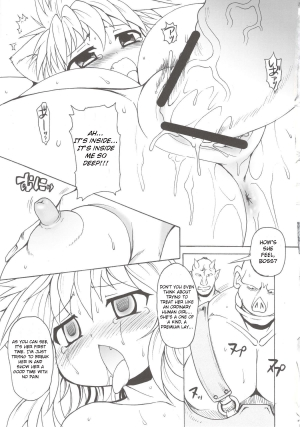 (C76) [Shimanto Seiryuu (Shimanto Youta)] Nyan Sword [English] [BSN] - Page 18