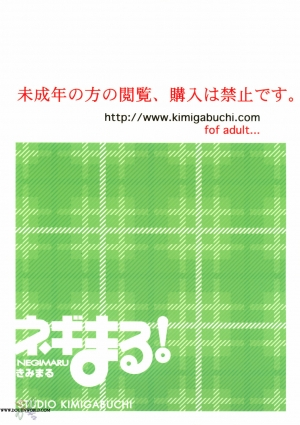 (Comic Castle 2006) [Studio Kimigabuchi (Kimimaru)] Negimaru! 4 (Mahou Sensei Negima!) [English] [SaHa] - Page 90