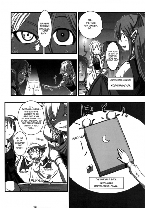 (COMIC1☆3) [Shimoyakedou (Nezumi, Ouma Tokiichi)] RED Ring (Touhou Project) [English] [desudesu] - Page 17