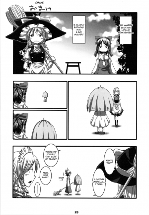 (COMIC1☆3) [Shimoyakedou (Nezumi, Ouma Tokiichi)] RED Ring (Touhou Project) [English] [desudesu] - Page 22