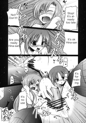 (C76) [TAROTS (Sawano Akira)] Hinagiku to Hamster ga Kyakkyaufufu Suru Ecchi na Hon (Hayate no Gotoku!) [English] [dvinrtribution] - Page 5