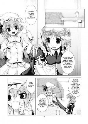 (ComiComi13) [Memoria (Tilm)] Bloody Blood (Touhou Project) [English] [desudesu] - Page 8