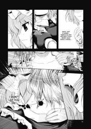 (ComiComi13) [Memoria (Tilm)] Bloody Blood (Touhou Project) [English] [desudesu] - Page 11