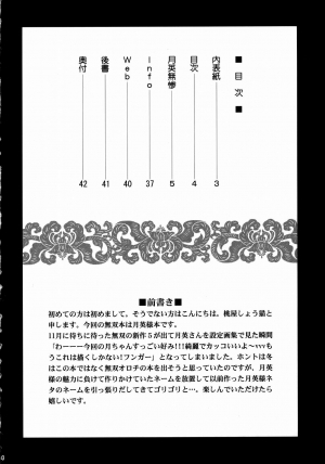 (C73) [U.R.C (Momoya Show-Neko)] Getsuei Muzan | Getsuei Tragedy (Dynasty Warriors) [English] [Saha] - Page 4