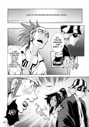 (C70) [Todd Special (Todd Oyamada)] Yukemuri NyanNyan Jiken (Bleach) [English] [SaHa] - Page 31