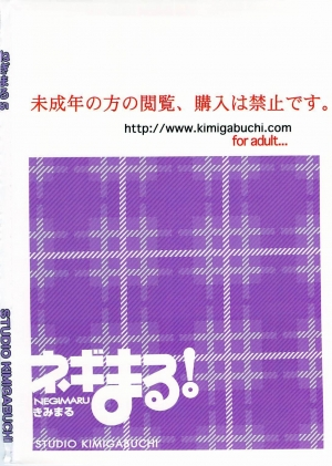 (C72) [Studio Kimigabuchi (Kimimaru)] Negimaru! 5 (Mahou Sensei Negima!) [English] - Page 97
