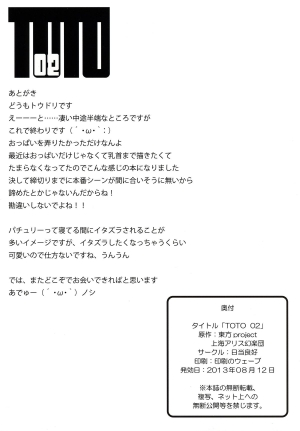 (C84) [Hiatari Ryoukou (Toudori)] TOTO 02 (Touhou Project) [English] - Page 11