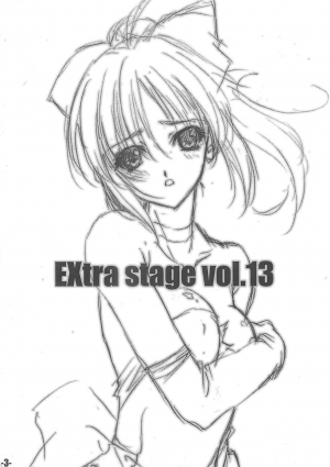 (CR35) [EXtage (Minakami Hiroki)] EXtra stage vol. 13 (Fate/stay night) [English] [desudesu] - Page 3