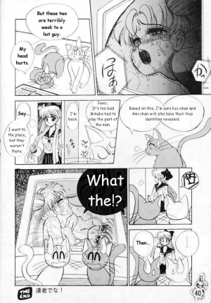 [Tenny Le Tai] [Sailor Moon] Silky Moon (one translated story) - Page 17