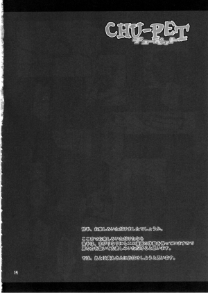 (C78) [Uso Seisakujo (Harukaze Unipo)] CHU-PET (Touhou Project) [English] [desudesu] - Page 14