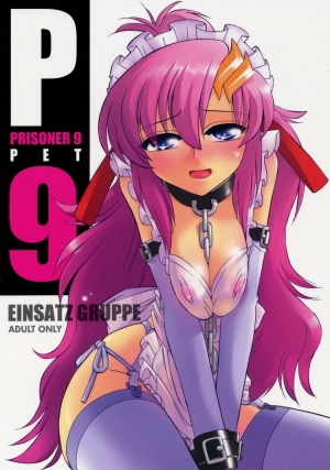 (C71) [EINSATZ GRUPPE (Charlie Nishinaka)] PRISONER 9 Pet (Gundam SEED Destiny) [English] [YQII] - Page 2