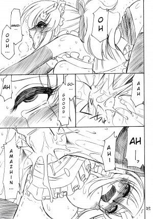 (C71) [EINSATZ GRUPPE (Charlie Nishinaka)] PRISONER 9 Pet (Gundam SEED Destiny) [English] [YQII] - Page 27