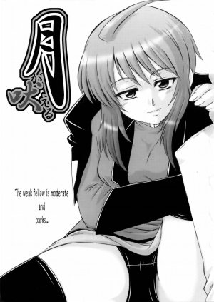 (C69) [G-R (Akiyama Kenta)] Tsuki ga Hoeru | The Moon Barks (Gundam Seed Destiny) [English] {SaHa} - Page 3