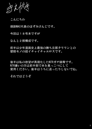[Shouchuu MAC (Hozumi Kenji)] INFINITY18 (Dragon Ball Z) [English] [desudesu] [Digital] - Page 3