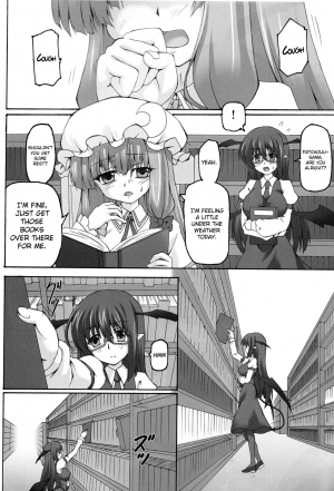 (Reitaisai 9) [Nejimaki Kougen (Kirisawa Tokito)] Yoshoku Toshokan (Touhou Project) [English] {Hennojin} - Page 4