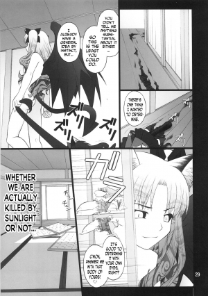 (C75) [PURIMOMO (Goyac)] Grem-Rin 4 (Fate/stay night) [English] [N04h] - Page 29