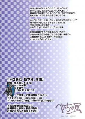 (C86) [Benichiga-ya (stigaya)] Toro Ana Chika 6.5-kai (Dragon Quest IV) [English] [Nomi] - Page 14