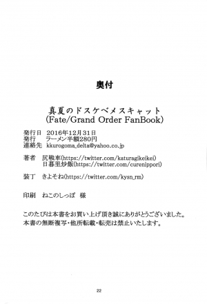 (C91) [Ramen Half Price ¥280 (Shirisensha)] Manatsu no Dosukebe Mesu Cat (Fate/Grand Order) [English] [constantly] - Page 22
