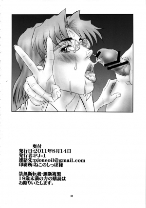 (C80) [PJ-1 (PJ-1)] Misato to Ritsuko Monzetsu Misoji Yuugi (Neon Genesis Evangelion) [English] - Page 30