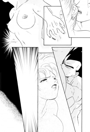 (C61) [Ryujin-kai (HITO Ribuki)] Saru no Fukou wa Mitsu no Aji | The Monkey's Misery is a Secret Pleasure (Dragon Ball Z) [English] [Arigatomina] - Page 18
