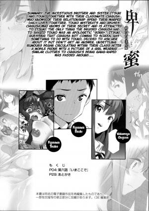 (C97) [Spermation (Tukamori Syuuji)] Himitsu 06 Ima koko de | Secret 6 - The entanglement of a real brother and sister [English] - Page 4