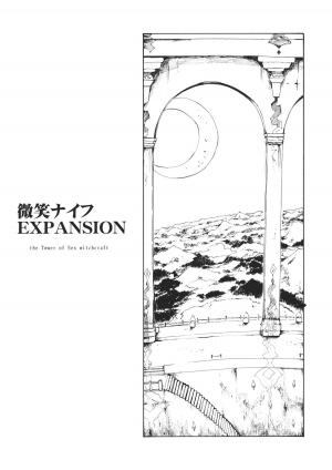 (C80) [Paranoia Cat(Fujiwara Shun'ichi)] Ukyoe-kan Smiling Knife EXPANSION (Touhou Project) [English] - Page 4