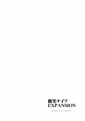 (C80) [Paranoia Cat(Fujiwara Shun'ichi)] Ukyoe-kan Smiling Knife EXPANSION (Touhou Project) [English] - Page 29